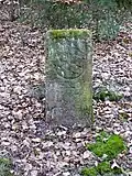 Abgelöst-Stein westlich der Wegscheide