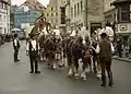 Rheinisch-Deutsche Kaltblüter vor einem sechspännigen Bierwagen
