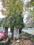 Blick auf den Friedhof