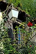 Überwuchertes Fenster