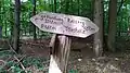 2 Rundwanderwege im Rehbergholz