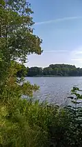Am Nordufer des Langsees im FFH-Teilgebiet Neuberend