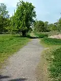 Der Eselsweg auf dem Heiligenstock-Gelände