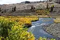 Gardner River im Herbst