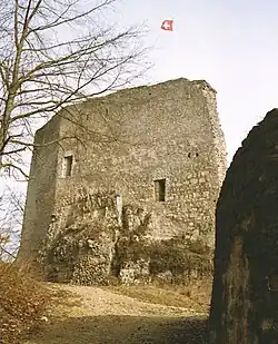 Schildmauer und Vorwerk