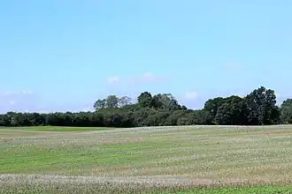 Die bewaldete Kuppe vom Faselberg von Osten