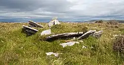 Faunarooska Wedge Tomb (Ost)