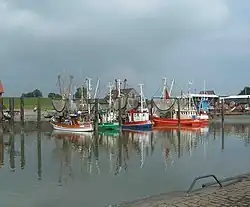 Krabbenkutter im Hafen