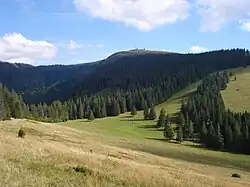 Der Hüttenwasen, im Hintergrund der Feldberg
