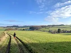 Feldweg von Beck nach Siepen im Borbachal