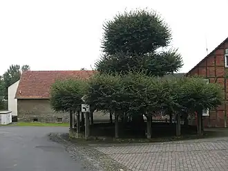 Dorflinde