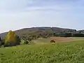 Felsberg (Quarzdiorit, Schiefergneise) mit Brandau-Beedenkirchener Vorland (Basite, flasrige Granitoide) von "Am-Schneeberg" südl. Beedenkirchens aus.