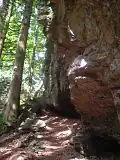 Kletterfelsen in der Schlucht
