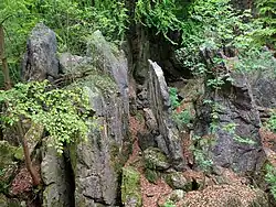 Felsenmeer Hemer