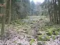 Kleines Flasergranitoid-Felsenmeer am Rimdidim-Westhang bei Steinau (nordöstlich Neunkirchens)