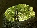 Blick aus der Fensterhöhle