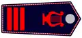 Feuerwehrhauptmusikmeister