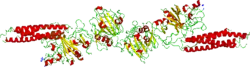 Fibrinogen