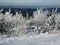 Blick vom Gipfel in Richtung Nordwesten. Schneefallgrenze bei ca. 600 m