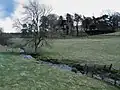 Beattie Burn