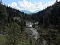 Finzbach an der Einmündung des Angerlgrabens. Im Hintergrund die Schöttelkarspitze (links) und der Wörner (rechts)