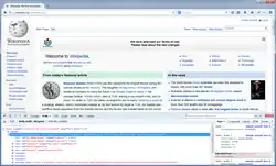 Firebug 1.12.2 in Firefox 24.0 unter Windows 7