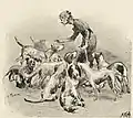 Illustration aus dem Buch Firenze sotterranea