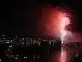 Feuerwerk über der Oriental Bay