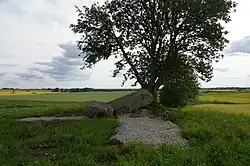 Firse sten
