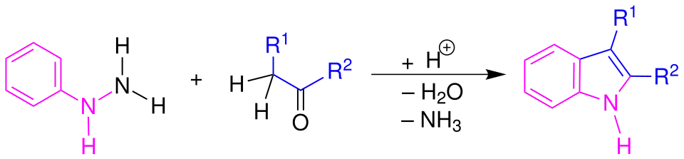 Fischer-Indol-Synthese