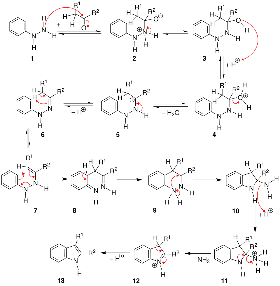 Mechanismus der Fischer-Indol-Synthese