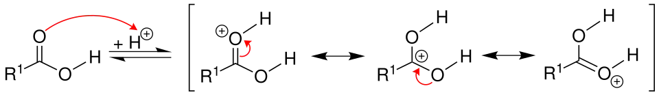 Mechanismus 1 Veresterung