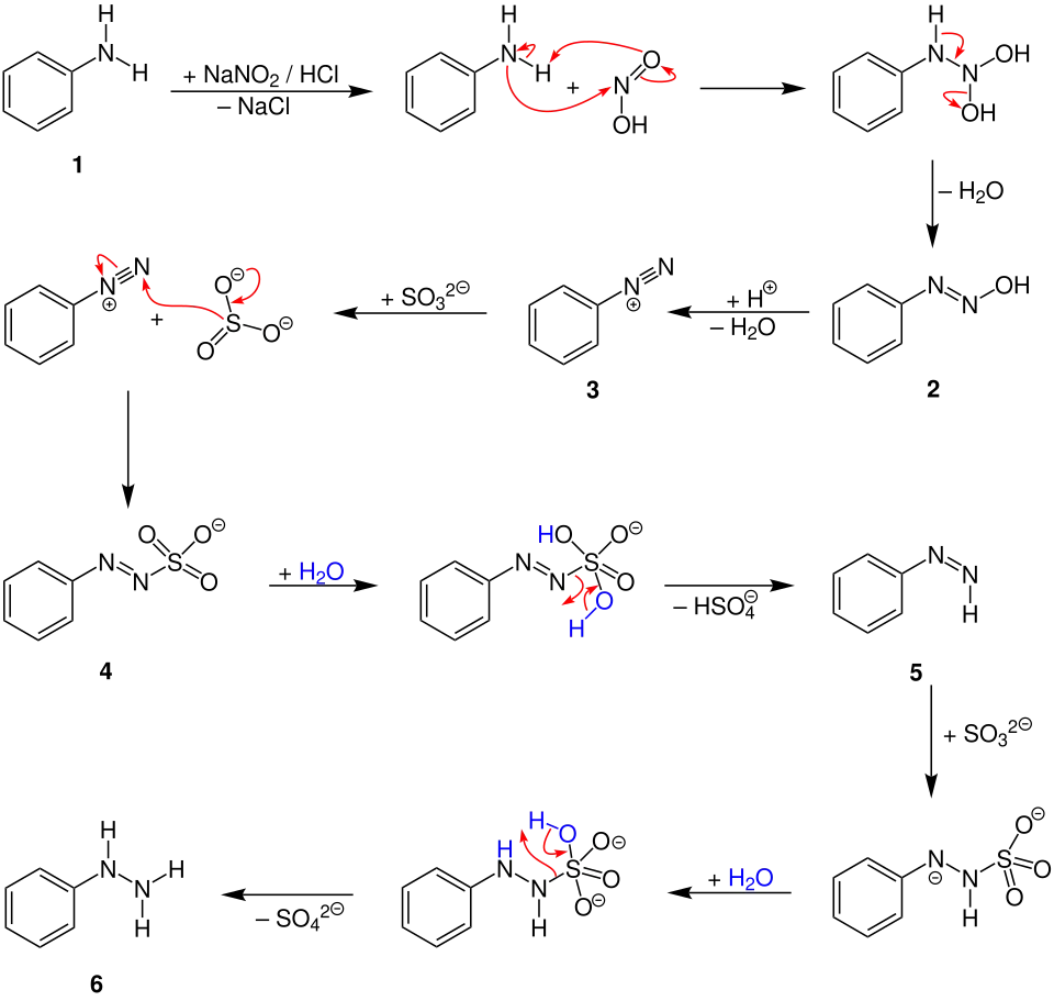 Fischer Phenylhydrazin-Synthese Mechanismus