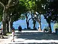 Isola dei Pescatori: Allee.