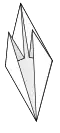Fisch-Grundform