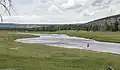 Fliegenfischer im Firehole River