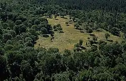 Fjäle in Ala