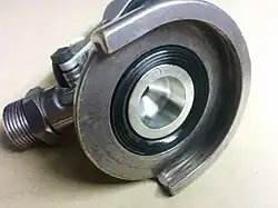 Flach­zapfkopf, geöffnet