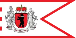 Moderne Version der samogetischen Flagge