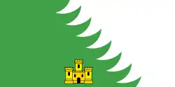 Flagge