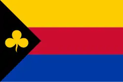 Flagge des Ortes Delfzijl