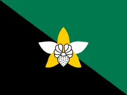 Flagge von Enga