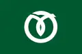 Flagge von Mizuho
