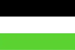 Flagge des Ortes Oostburg