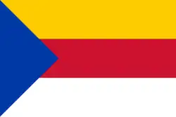 Flagge des Ortes Rijnwaarden