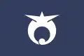Flagge/Wappen von Takanezawa