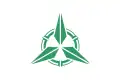 Flagge/Wappen von Takehara