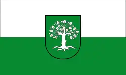Flagge