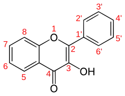 Flavonole