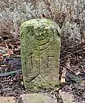 Hist. Grenzstein mit Baum und Buchstaben I&nbsp;F